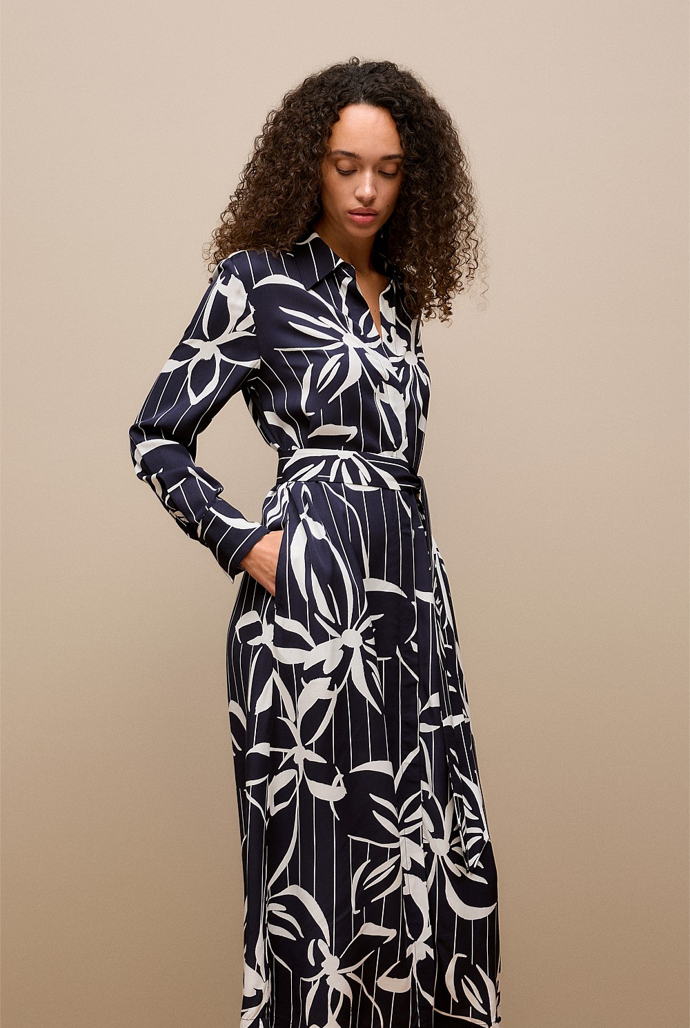 Floral Stripe Twill Shirt Dress